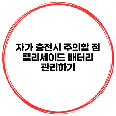 자가 충전시 주의할 점 팰리세이드 배터리 관리하기