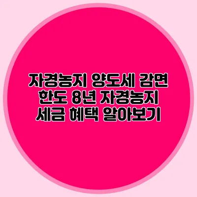 자경농지 양도세 감면 한도 8년 자경농지 세금 혜택 알아보기