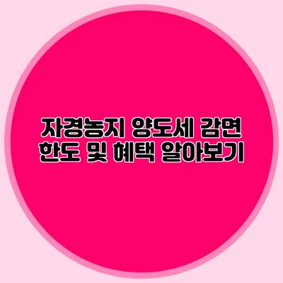 자경농지 양도세 감면 한도 및 혜택 알아보기