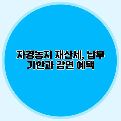 자경농지 재산세, 납부 기한과 감면 혜택