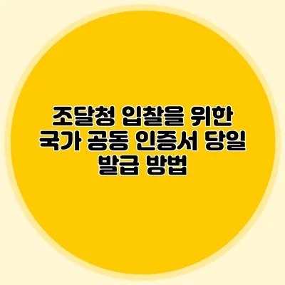 조달청 입찰을 위한 국가 공동 인증서 당일 발급 방법