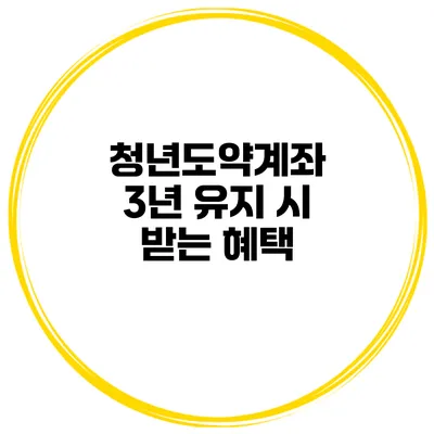 청년도약계좌 3년 유지 시 받는 혜택