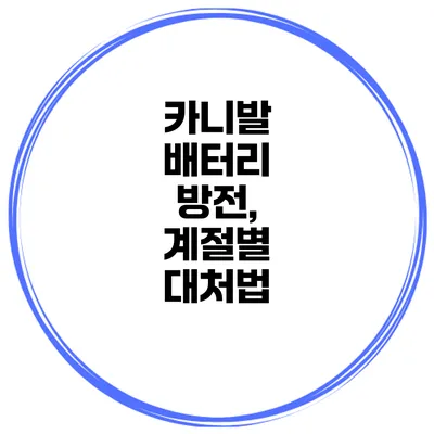 카니발 배터리 방전, 계절별 대처법