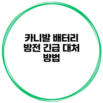 카니발 배터리 방전 긴급 대처 방법