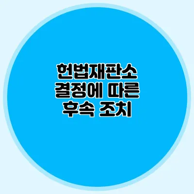 헌법재판소 결정에 따른 후속 조치
