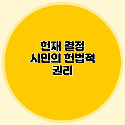 헌재 결정 시민의 헌법적 권리